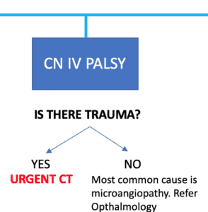 CN IV Palsy