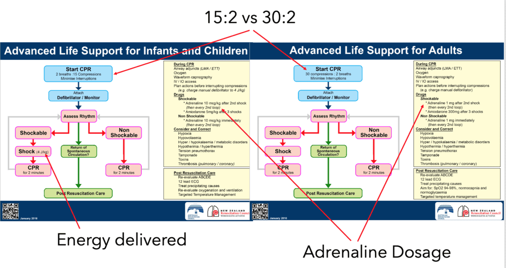 Differences Between Adult and Paediatric Resuscitation