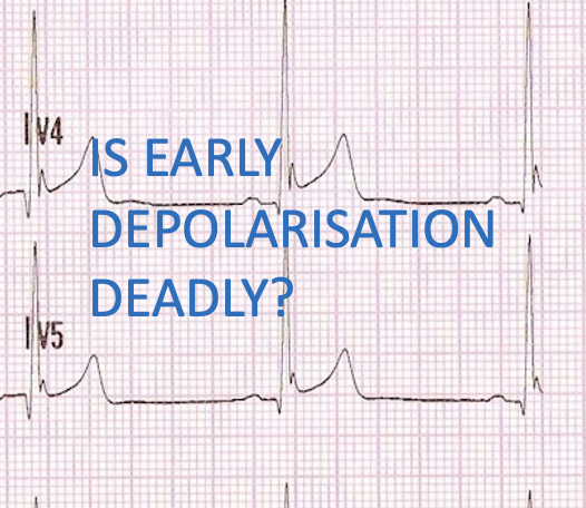 Early Depolarisation and Sudden Cardiac Death