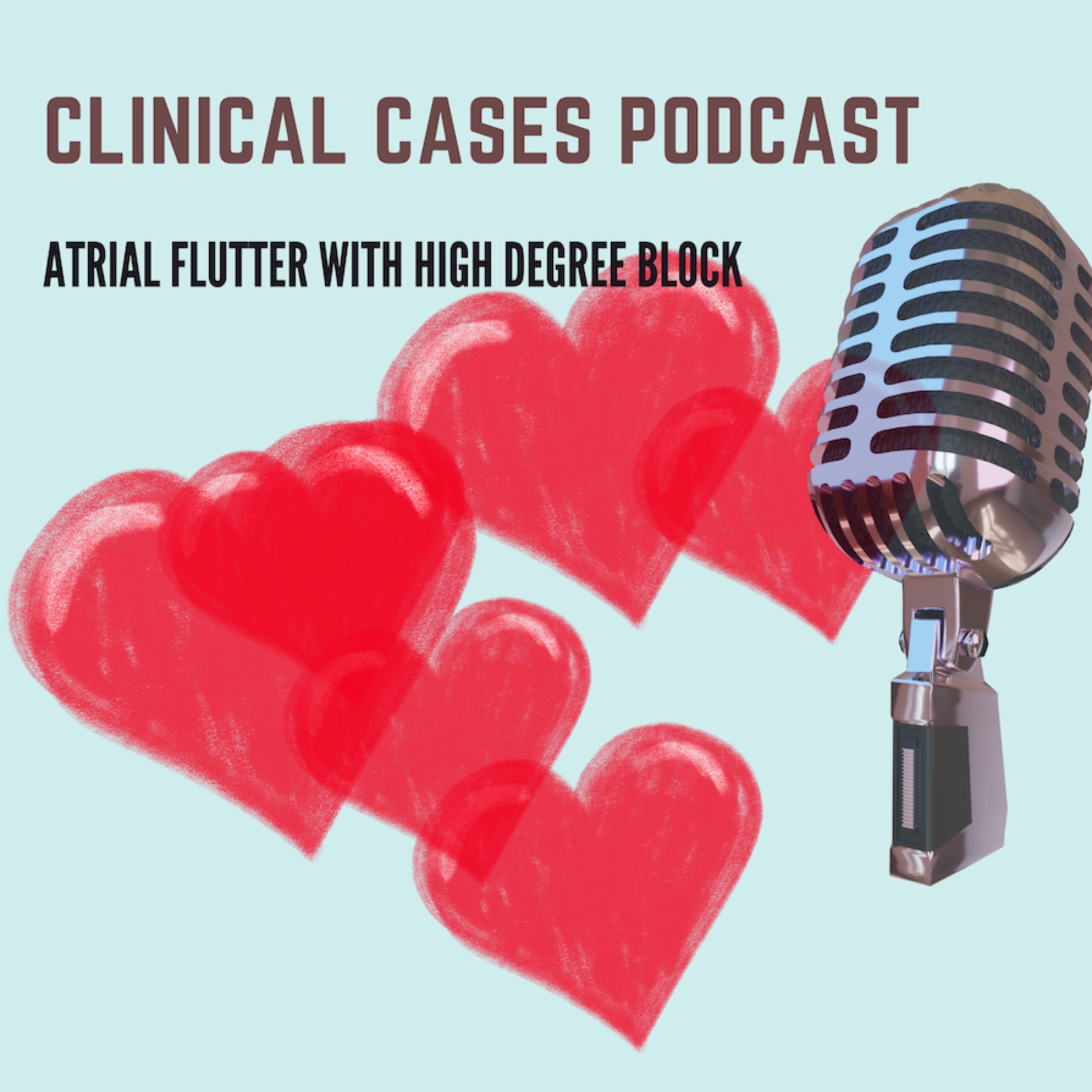 episode-1-atrial-flutter-and-high-degree-block